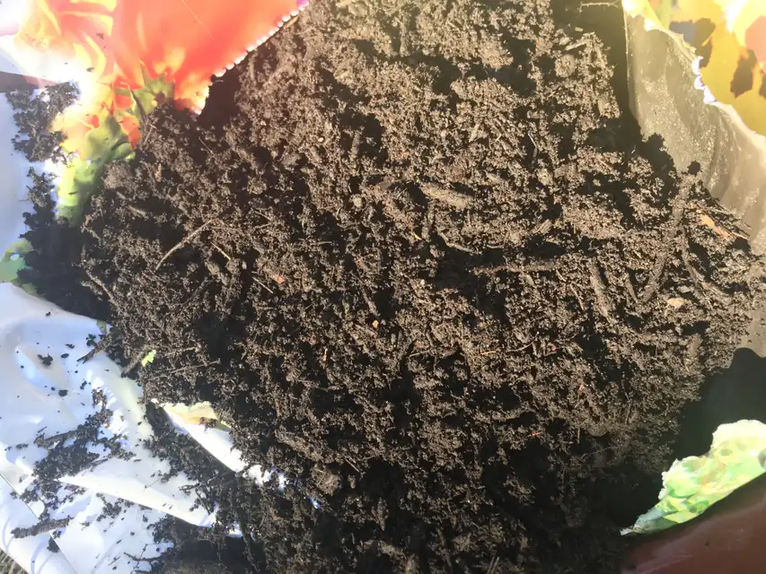 庭土に混ぜる前の黒褐色のバーク堆肥