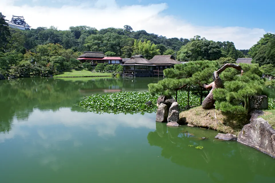 庭木の間から遠くの山並みを望む借景の日本庭園