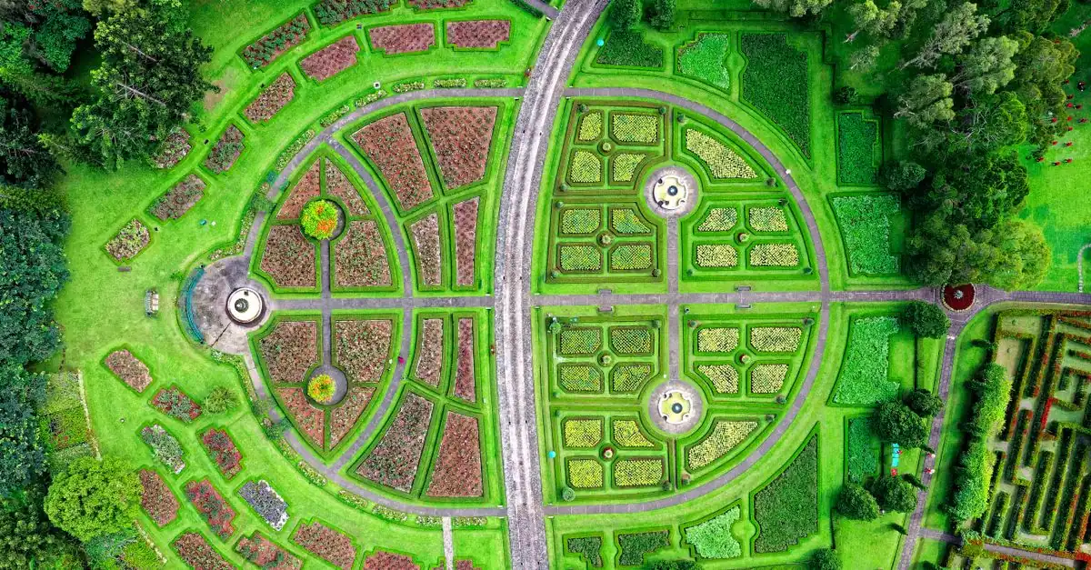 庭のゾーニングと動線を計画した戸建てのガーデンデザイン