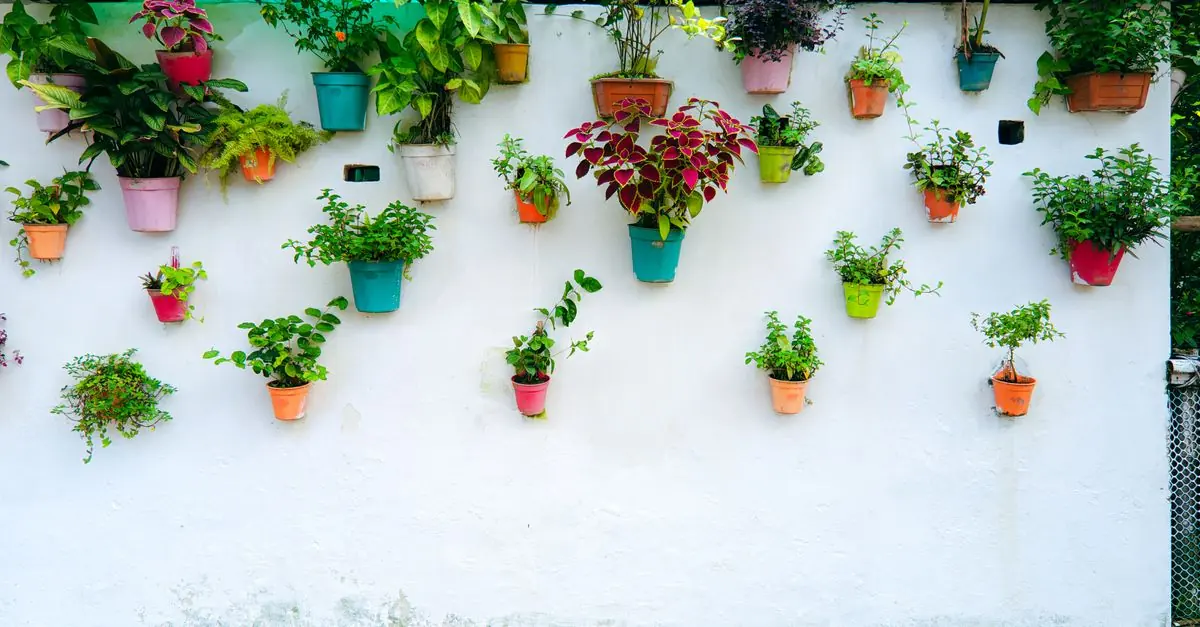 水分条件の近いハーブを組み合わせた寄せ植えプランター