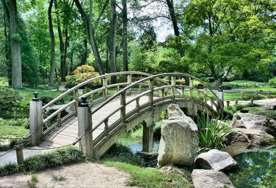 池と園路を巡りながら鑑賞する日本庭園