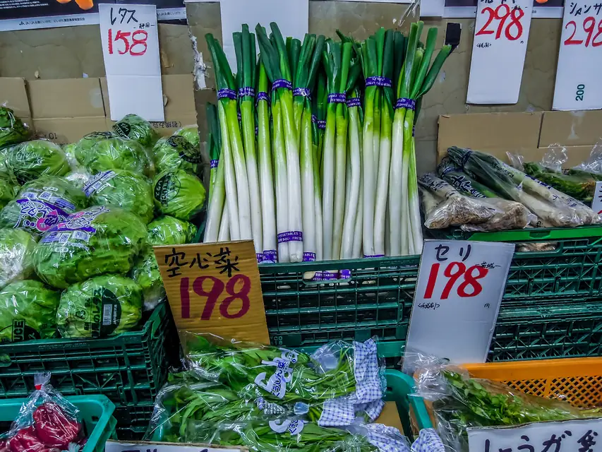 レタス・ほうれん草・小松菜を育てる家庭菜園