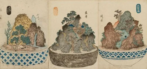 盆景と水石を水盤と台座で飾った和の室内