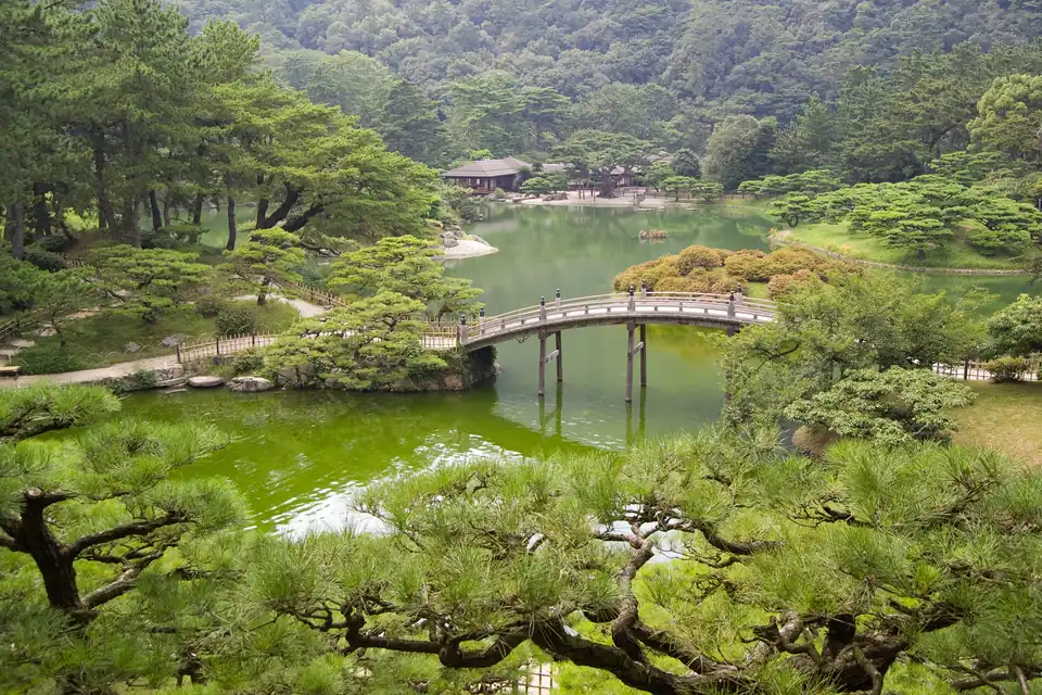 春のみどり摘みで和風に仕立てた庭の松