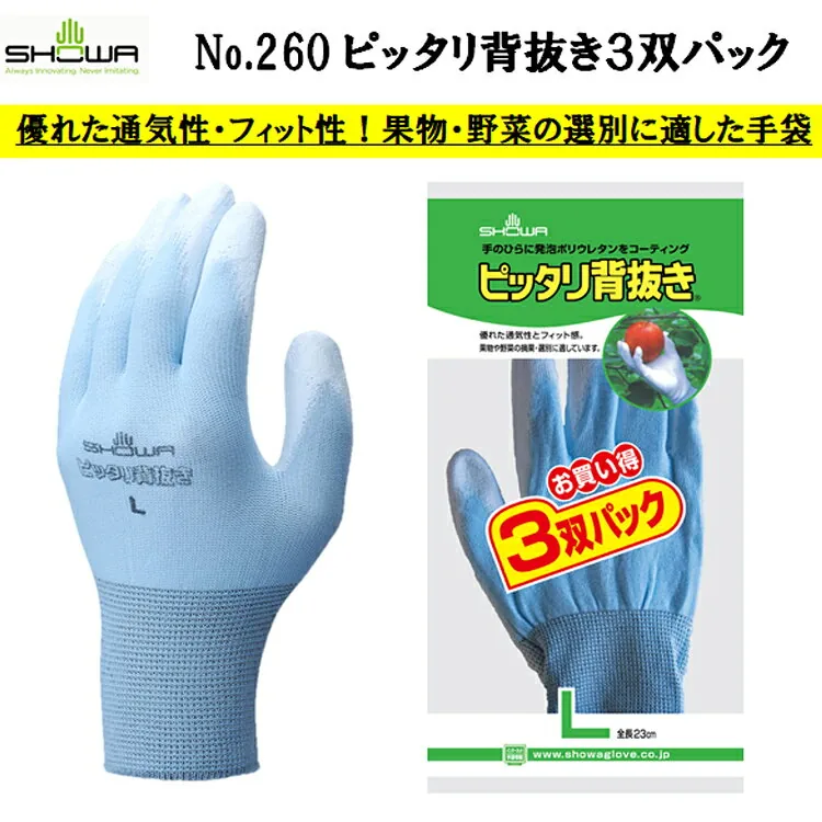 SHOWA ピッタリ背抜き3双パック 260