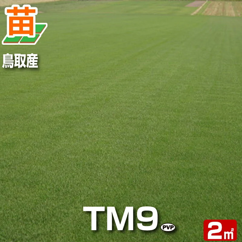 鳥取産 TM9 2平米