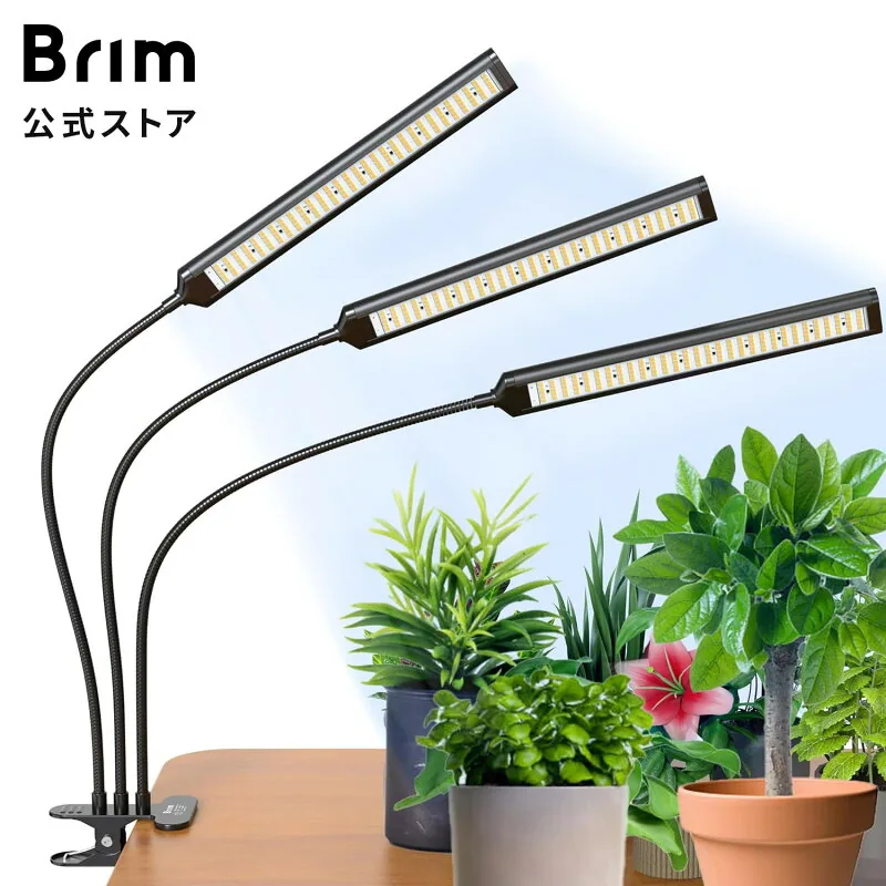 BRIM FLORA 3ヘッド