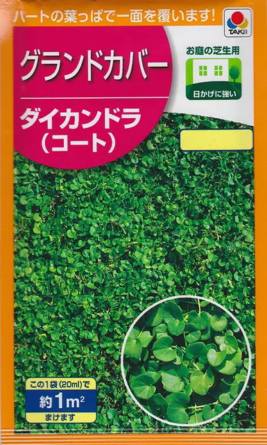 ダイカンドラ20ml