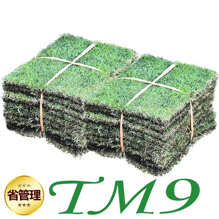 diy tm9