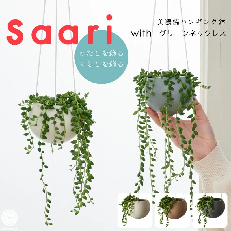 グリーンネックレス ハンギングプランター ミニセット