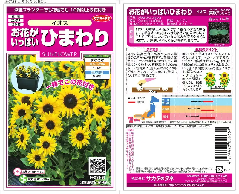 サカタのタネ 実咲花 ひまわり