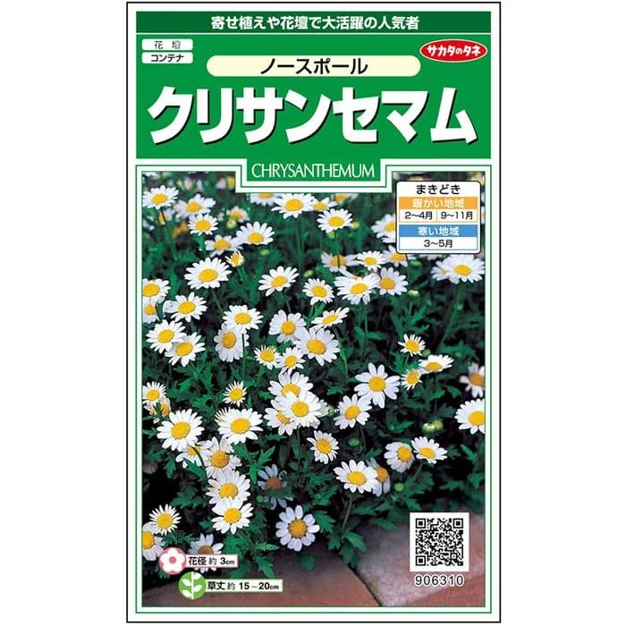 サカタのタネ クリサンセマム ノースポール 約115粒