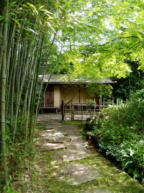 飛石と蹲踞を配した静かな茶庭の露地