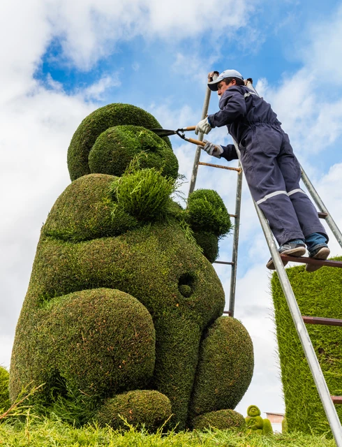 トピアリーの作り方｜植物・フレーム・形の維持管理｜庭世界